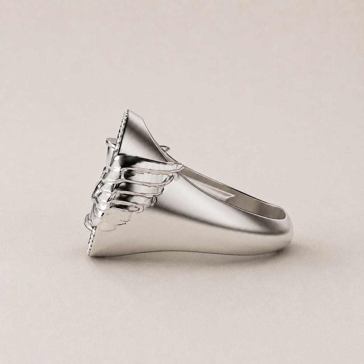 Anillo Tempus Fugit de plata