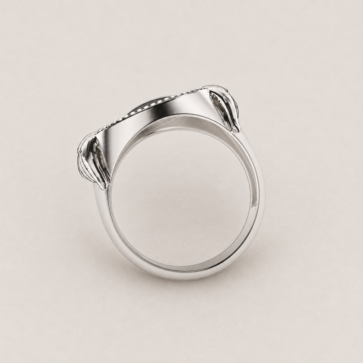 Anillo Tempus Fugit de plata