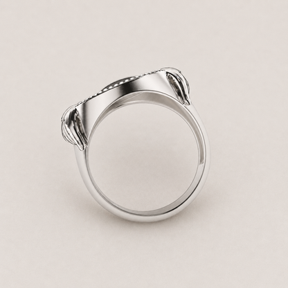 Anillo Tempus Fugit de plata