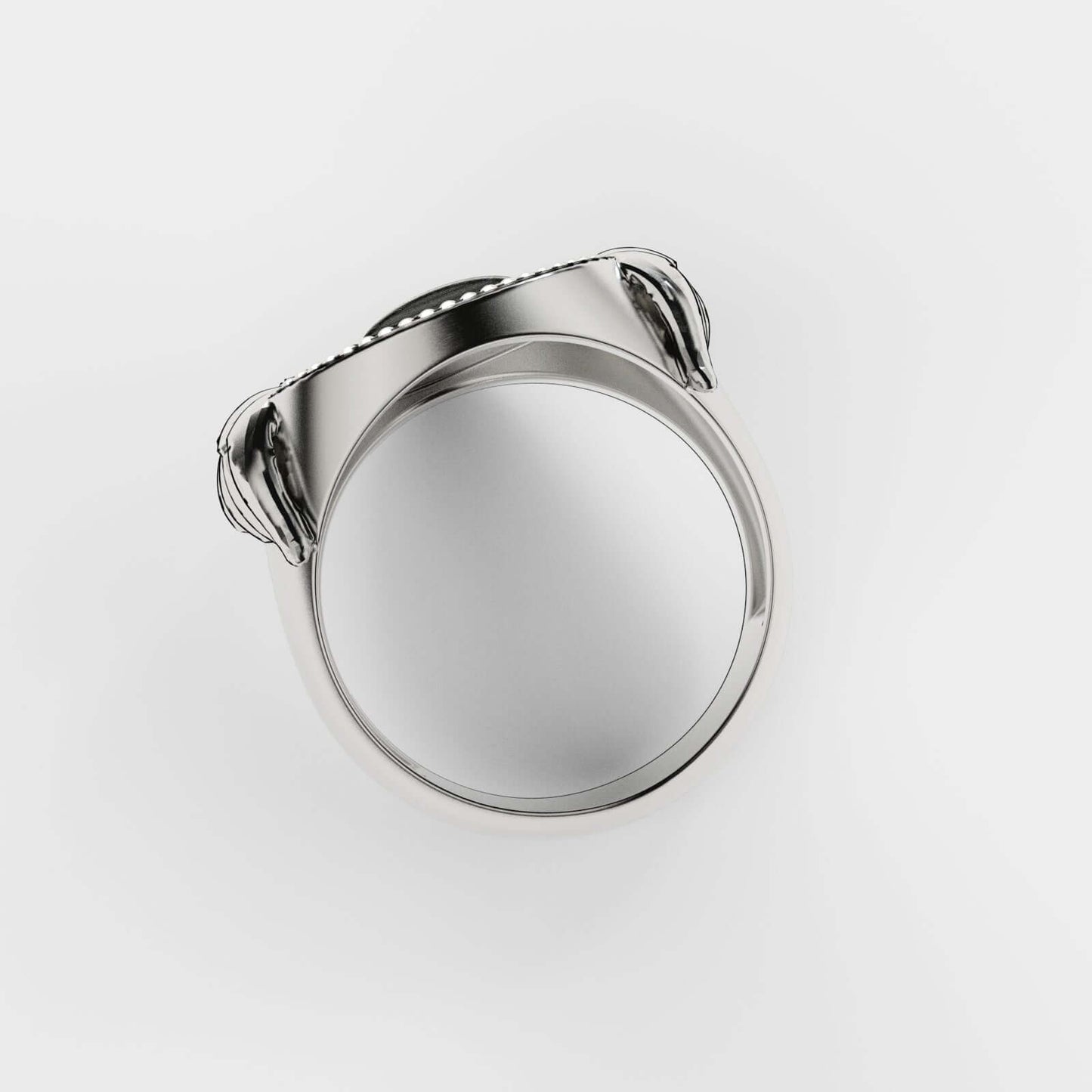 Top view of the elegant Tempus Fugit Silver Ring by Swaydrop showcasing its sleek design and refined details.