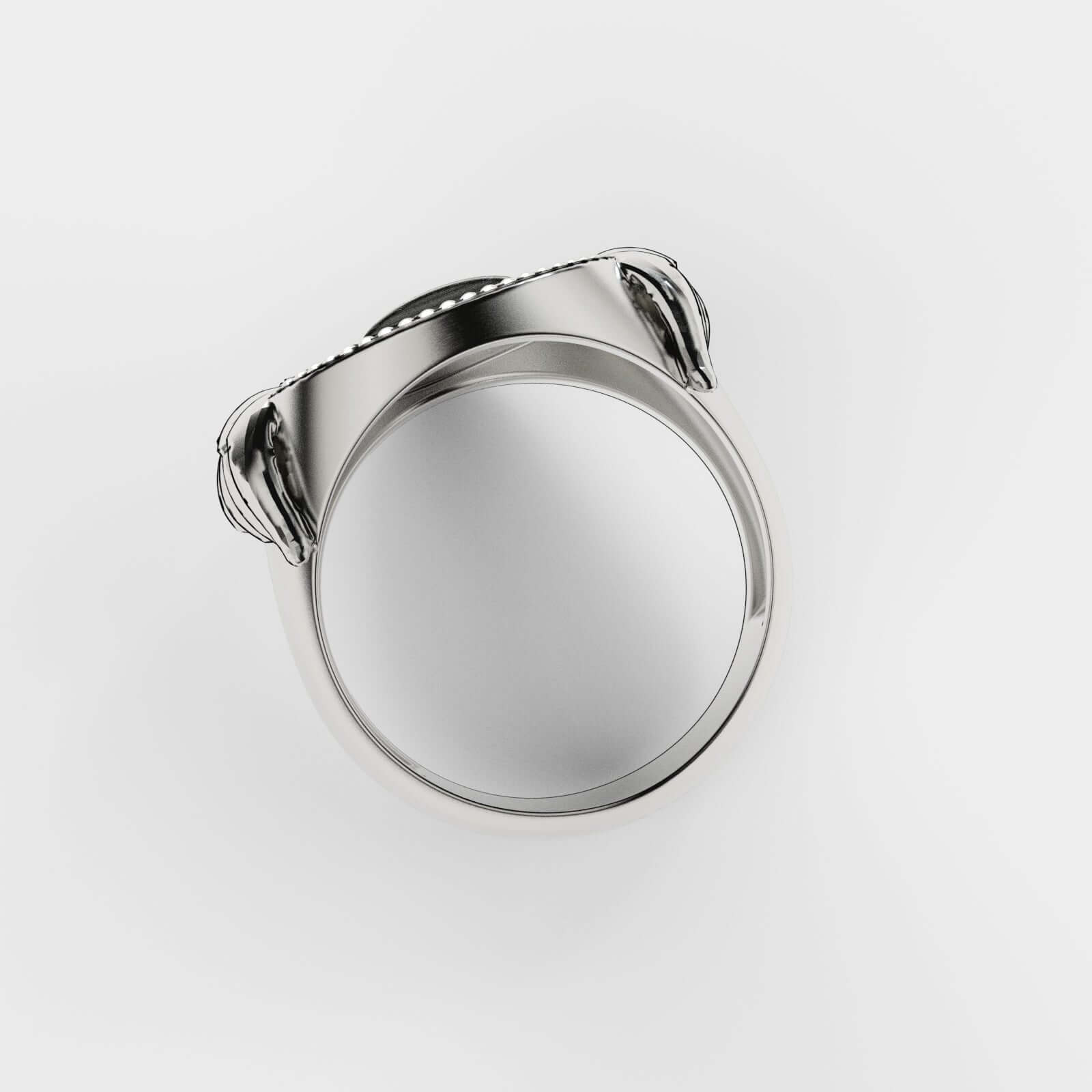 Top view of the elegant Tempus Fugit Silver Ring by Swaydrop showcasing its sleek design and refined details.